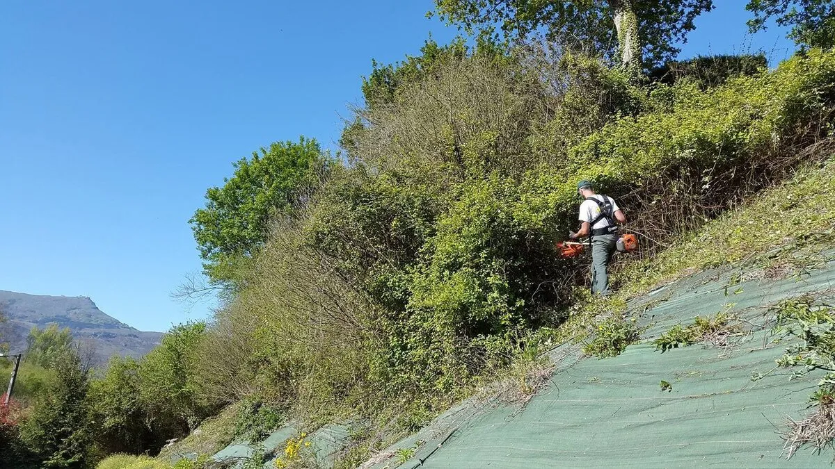 Débroussaillage d’un talus à la débroussailleuse à lame au Pays Basque